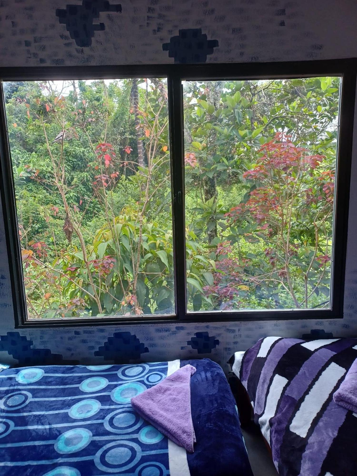 Hospedaje Pa'Gaia 산 라파엘 외부 사진